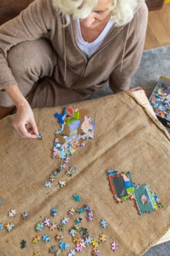 Jumbo 25004 Wasgij-puzzel Original-37 Vakantiefiasco 1000 Stukjes -Speelgoedwinkel 92140084 3390576729