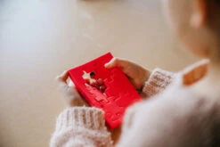 SmartGames Happy Cube Original -Speelgoedwinkel SmartGames Happy Cube Original 1 1