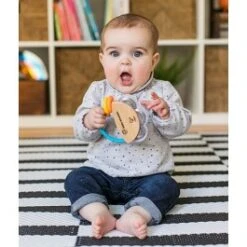 Baby Tamboerijn – Hape Tiny Tambourine -Speelgoedwinkel baby tamboerijn hape 12011