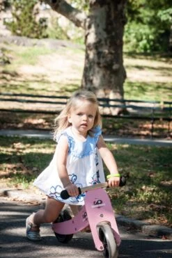 Tiny Tot Loopfiets 2 – In – 1 Kinderfeets – Loopfiets – Rose -Speelgoedwinkel kinderfeets tiny tot roze loopfiets 3
