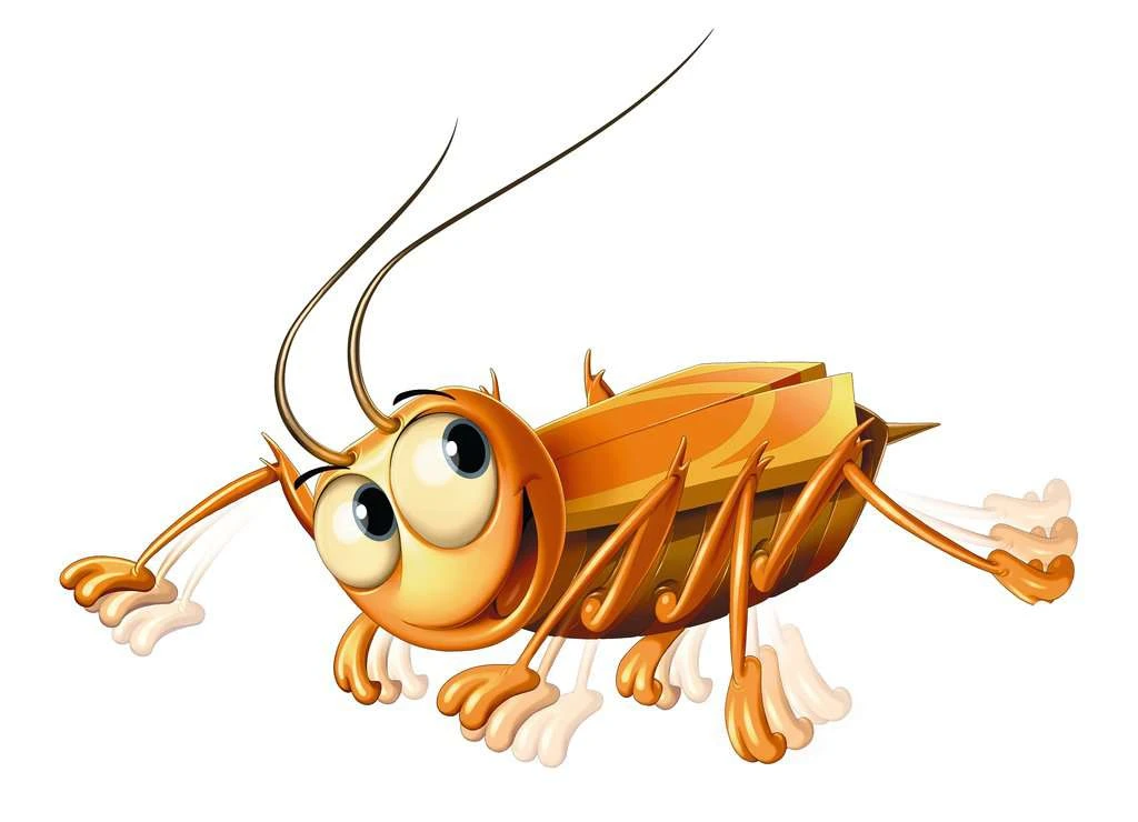 La Cucaracha Kinderspel Ravensburger 6 La Cucaracha Kinderspel Ravensburger - Afbeelding 4