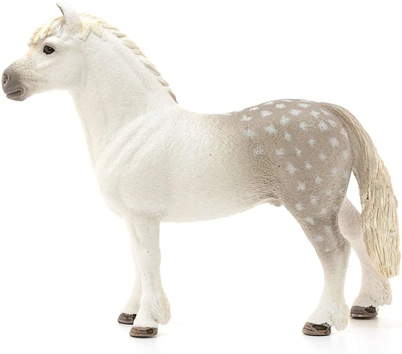Schleich 13871 Welsh Pony Hengst HorseClub 4 Schleich 13871 Welsh Pony Hengst HorseClub - Afbeelding 2