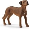 Schleich 13895 Leeuwhond FarmWorld -Speelgoedwinkel schleich 13895 leeuwhond