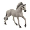Schleich 13915 Sorraia Mustang Hengst HorseClub 1 Schleich 13915 Sorraia Mustang Hengst HorseClub -Speelgoedwinkel schleich 13915 sorraia mustang hengst
