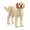 Schleich 13939 Goldendoodle Hond FarmWorld -Speelgoedwinkel schleich 13939 goldendoodle