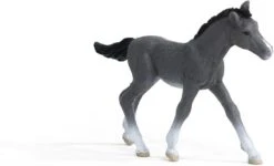 Schleich 13944 Trakhener Veulen HorseClub -Speelgoedwinkel schleich 13944 trakehner veulen 1