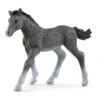 Schleich 13944 Trakhener Veulen HorseClub -Speelgoedwinkel schleich 13944 trakehner veulen