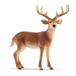 Schleich 14818 Witstaart Hert Wildlife