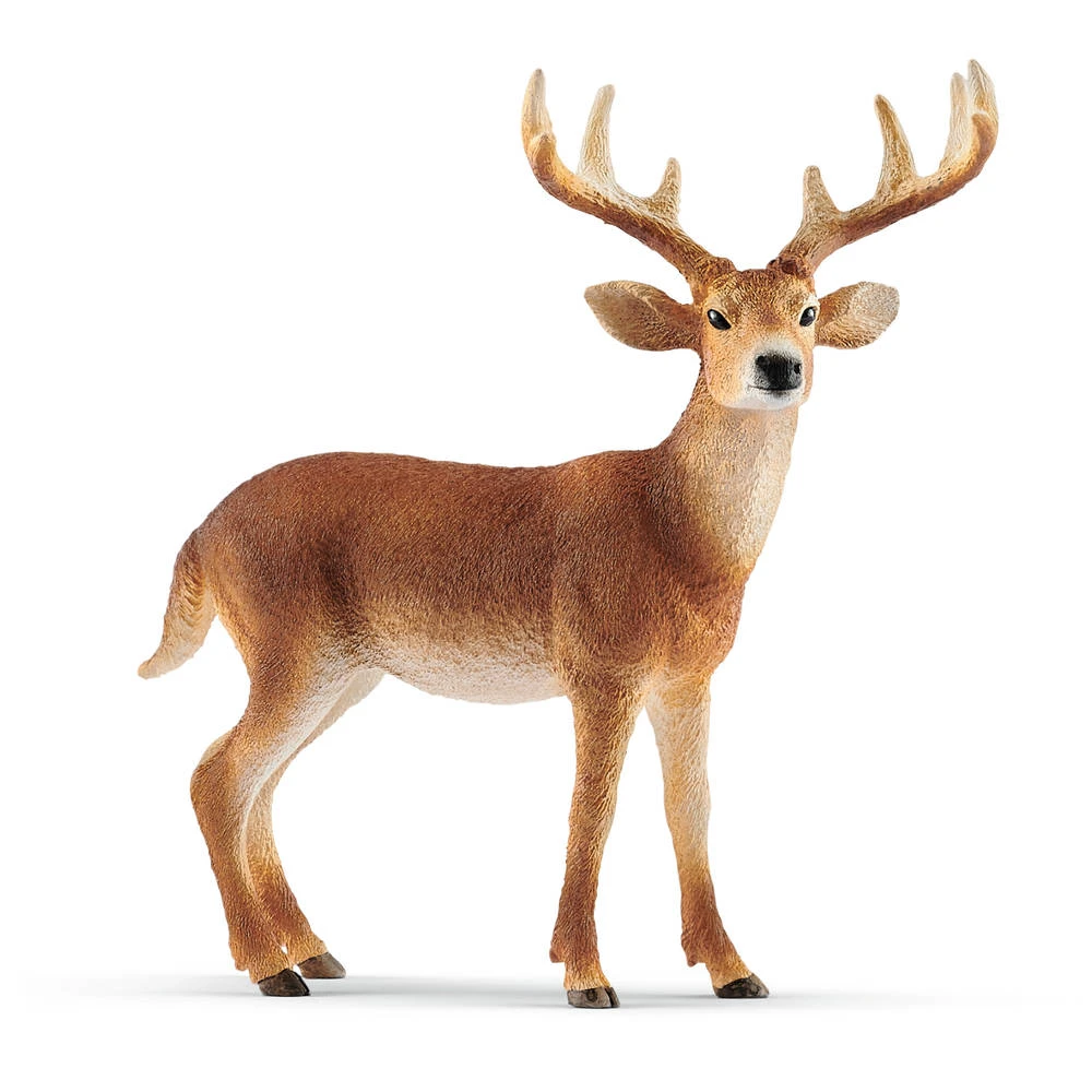 Schleich 14818 Witstaart Hert Wildlife 3 Schleich 14818 Witstaart Hert Wildlife