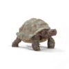 Schleich 14824 Reuzenschildpad Wildlife -Speelgoedwinkel schleich 14824 reuzenschildpad